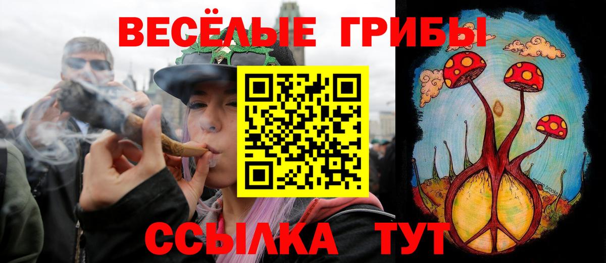 Псилоцибиновые грибы ЛСД Муравленко