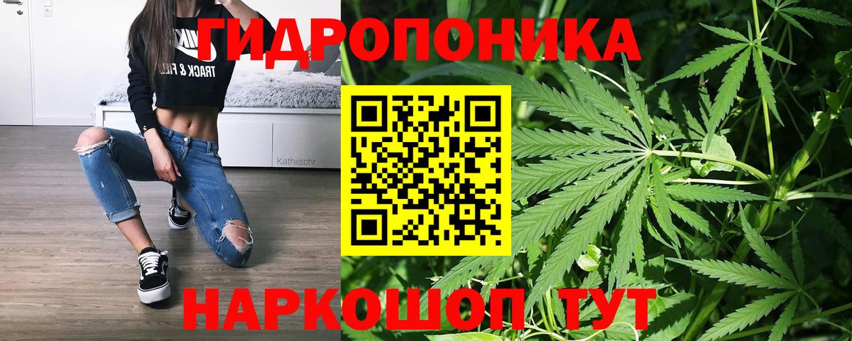 Марихуана конопля Муравленко